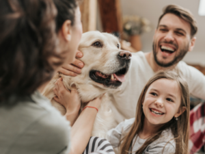 Golden Retriever surrounded by his family